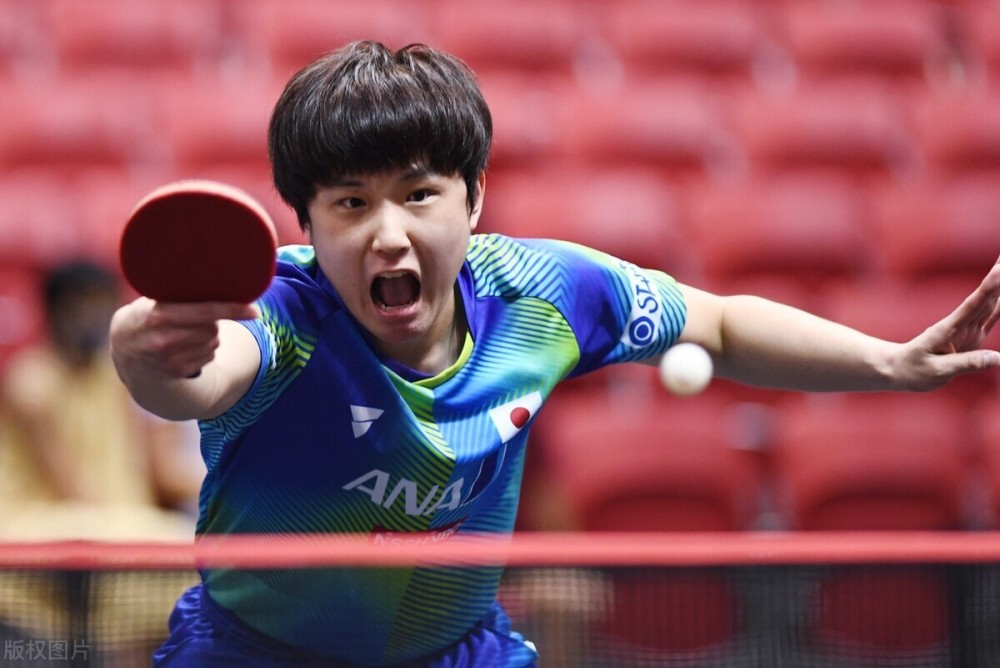 陈导会在每 陈导会在每