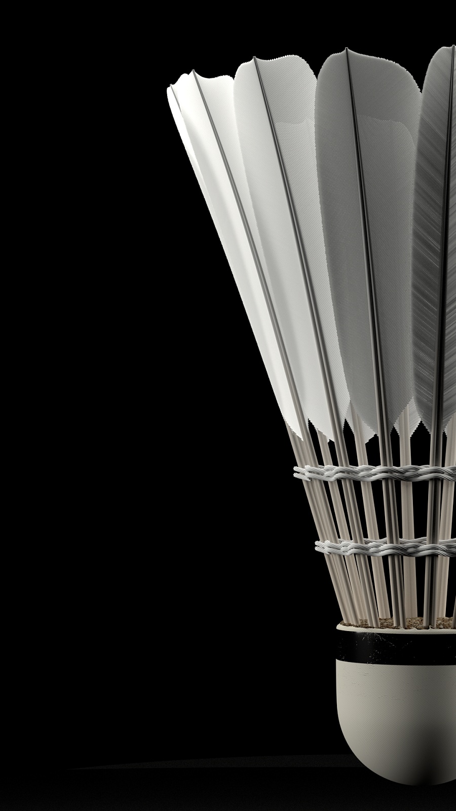 若干转均无 若干转均无